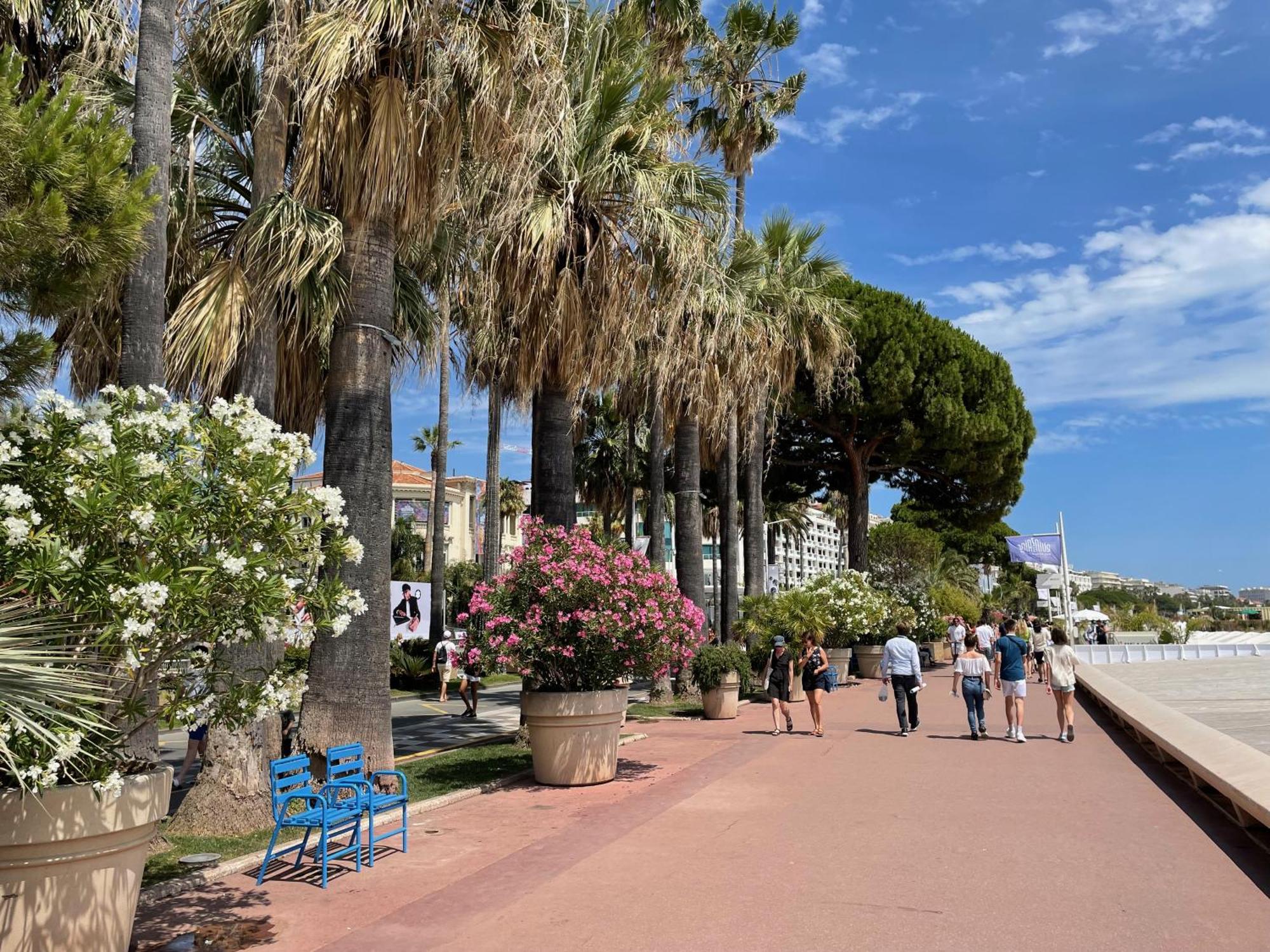 Beautiful Apartment Cannes Center Terrace Parking Εξωτερικό φωτογραφία