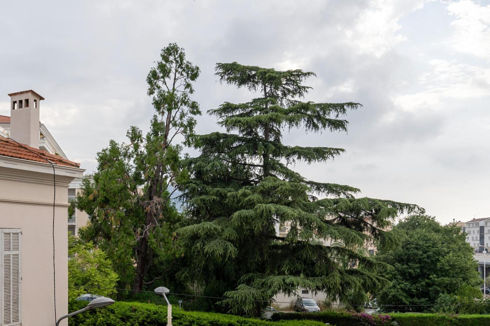 Beautiful Apartment Cannes Center Terrace Parking Εξωτερικό φωτογραφία